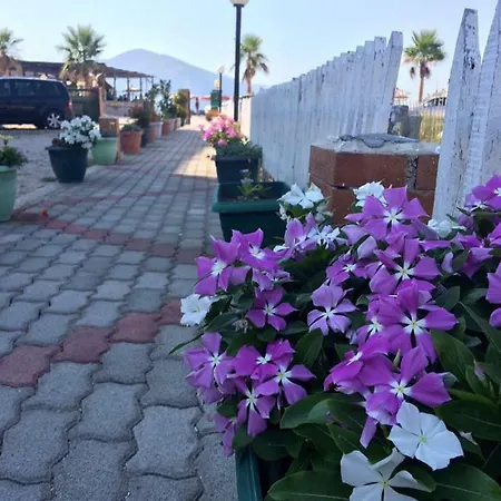 Kabina Plazhi